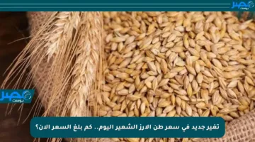 تغير جديد في سعر طن الأرز الشعير اليوم.. كم بلغ السعر الآن؟